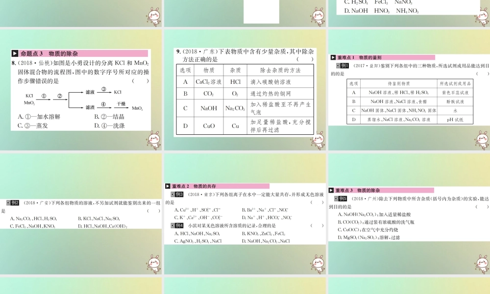 中考化学复习 主题五 科学探究 第18讲 物质的检验、鉴别、共存与除杂课件