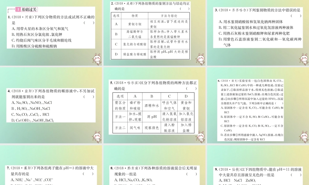 中考化学复习 主题五 科学探究 第18讲 物质的检验、鉴别、共存与除杂课件