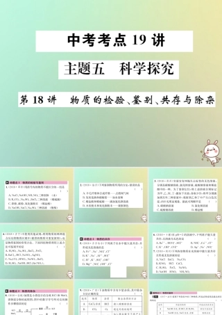 中考化学复习 主题五 科学探究 第18讲 物质的检验、鉴别、共存与除杂课件