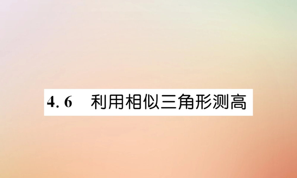 九年级数学上册 第4章 图形的相似 46 利用相似三角形测高作业课件 (新版)北师大版 课件
