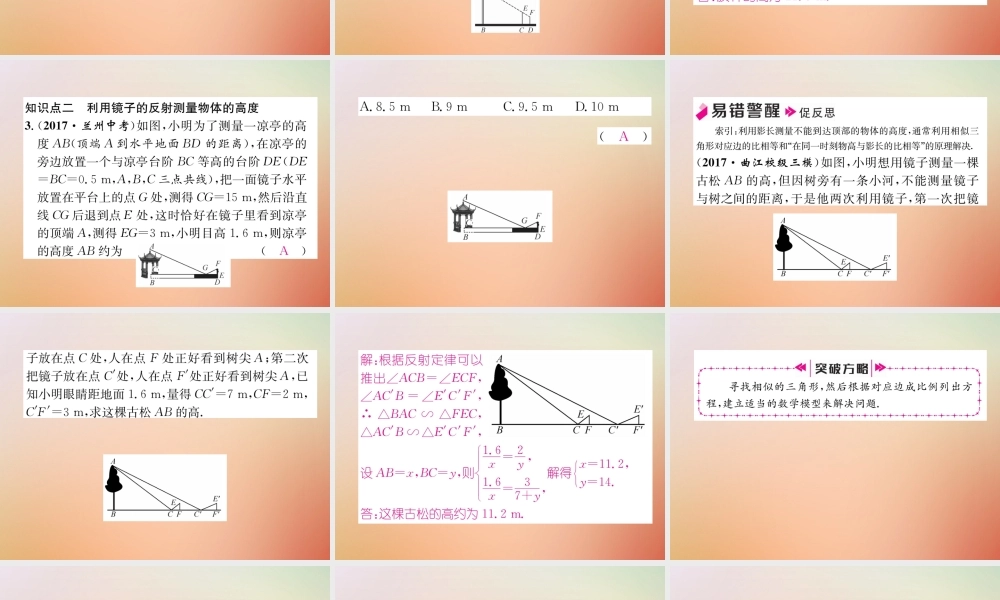 九年级数学上册 第4章 图形的相似 46 利用相似三角形测高作业课件 (新版)北师大版 课件