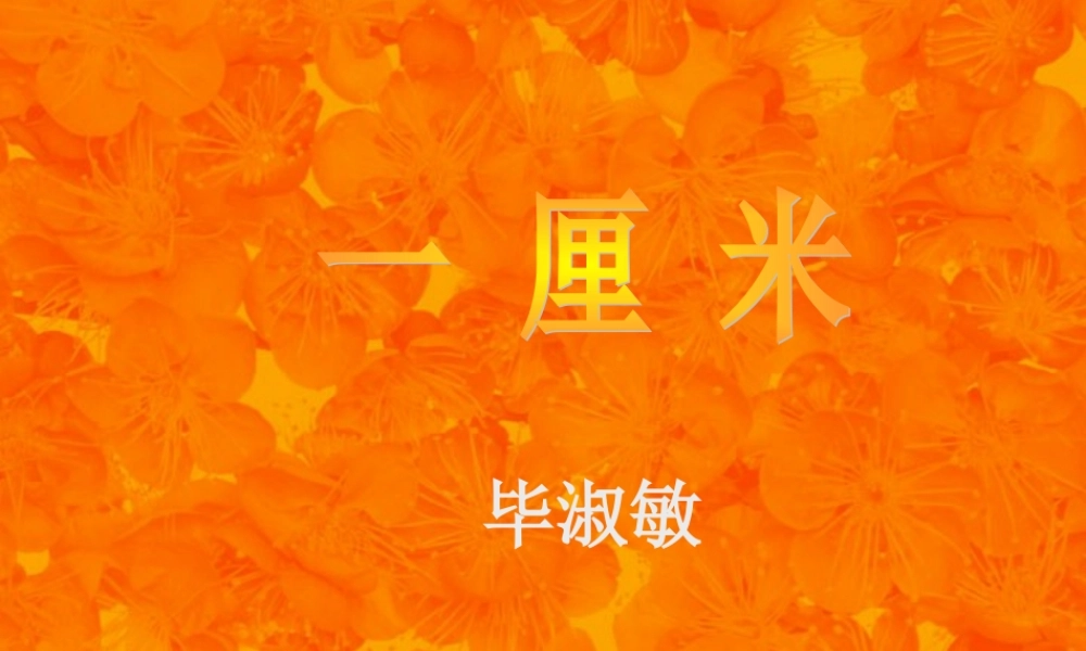 九年级语文一厘米 语文版 课件