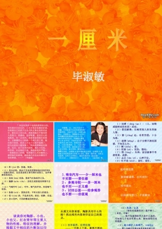 九年级语文一厘米 语文版 课件