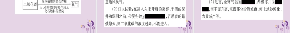 中考化学复习 第一部分 基础知识 第一单元 常见的物质 第3讲 碳和碳的氧化物(精讲)课件