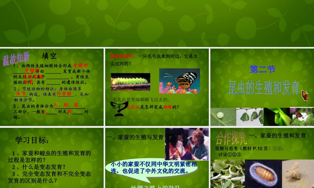 八年级生物下册 第七单元 第一章 第二节 昆虫的生殖和发育课件 新人教版 课件