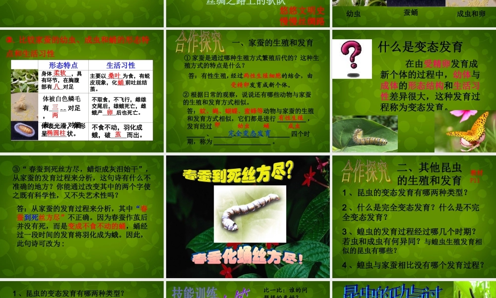 八年级生物下册 第七单元 第一章 第二节 昆虫的生殖和发育课件 新人教版 课件