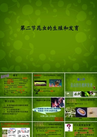 八年级生物下册 第七单元 第一章 第二节 昆虫的生殖和发育课件 新人教版 课件