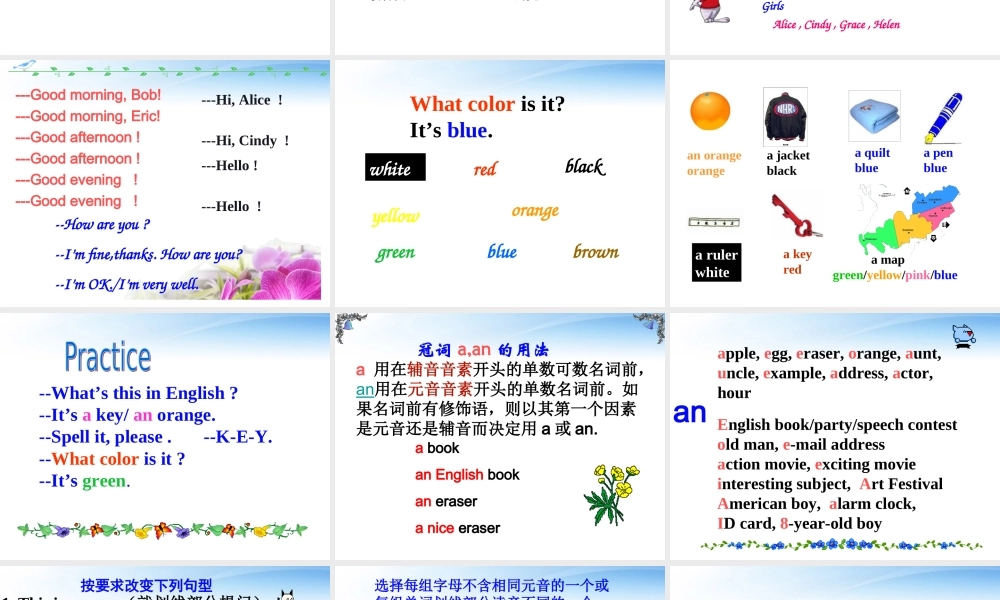 七年级英语上册 Starters1-3复习课件  人教新目标版 课件