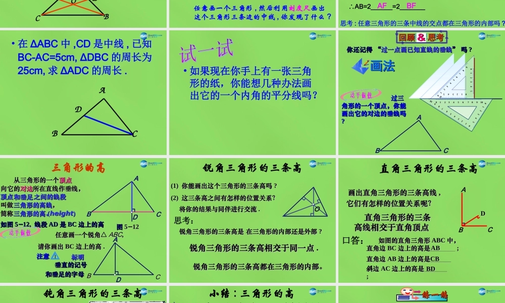 七年级数学下册 第九章 第3节(三角形的角平分线、中线和高)课件 (新版)冀教版 课件