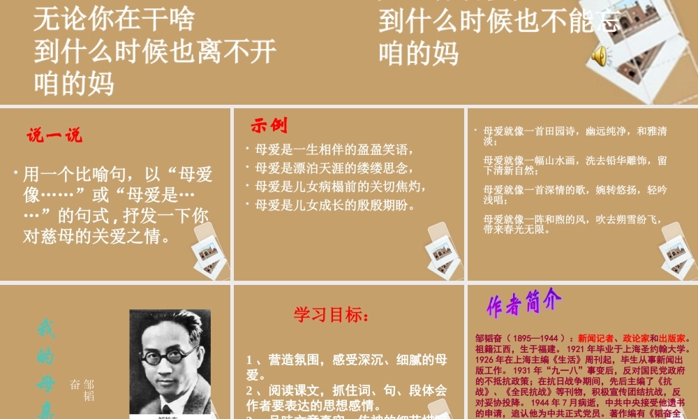 中学七年级语文(我的母亲)课件