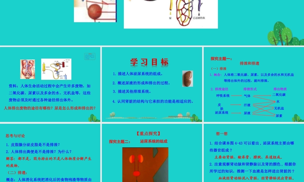 七年级生物下册 4.5 人体内废物的排出课件 七年级生物下册 4.5 人体内废物的排出课件+素材(新版)新人教版