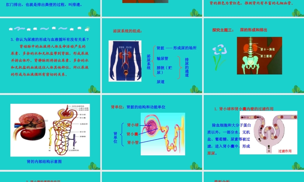 七年级生物下册 4.5 人体内废物的排出课件 七年级生物下册 4.5 人体内废物的排出课件+素材(新版)新人教版