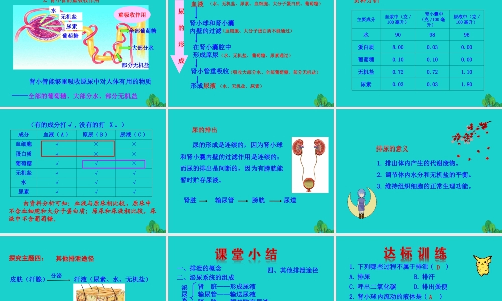 七年级生物下册 4.5 人体内废物的排出课件 七年级生物下册 4.5 人体内废物的排出课件+素材(新版)新人教版