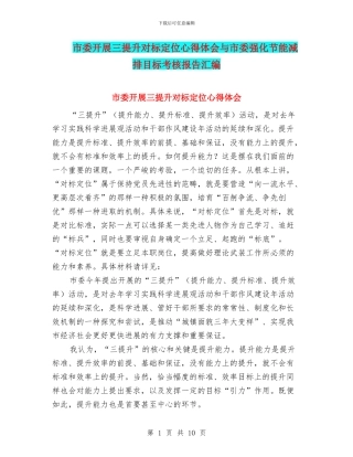市委开展三提升对标定位心得体会与市委强化节能减排目标考核报告汇编