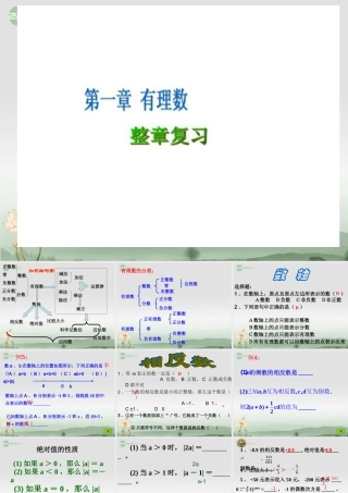 广东省珠海市七年级数学上册 第一章有理数复习课件 新人教版 课件