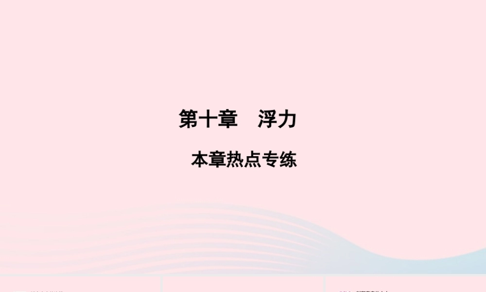 八年级物理下册 第10章 浮力本章热点专练课件 (新版)新人教版 课件