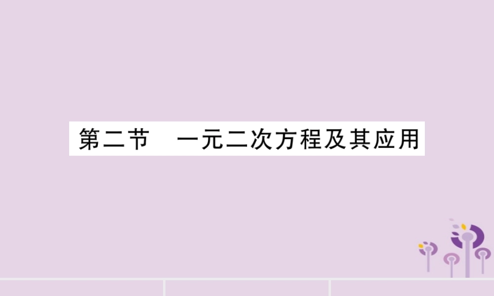 中考数学复习 第一轮 考点系统复习 第2章 方程(组)与不等式(组)第2节 一元二次方程及其应用导学课件