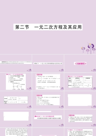 中考数学复习 第一轮 考点系统复习 第2章 方程(组)与不等式(组)第2节 一元二次方程及其应用导学课件