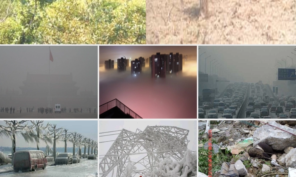 八年级语文上册 18 雨林的毁灭课件 语文版 课件