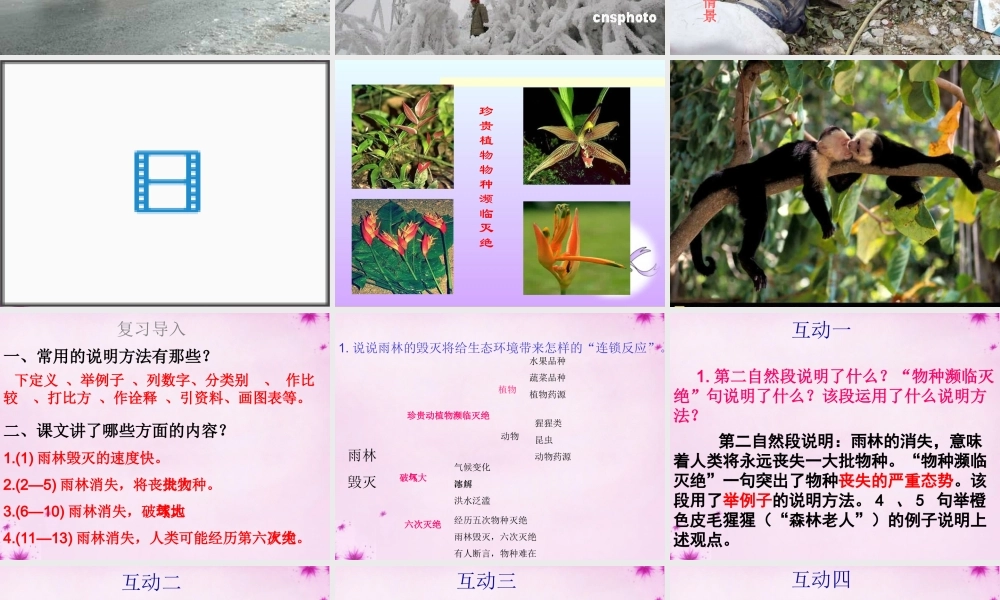 八年级语文上册 18 雨林的毁灭课件 语文版 课件