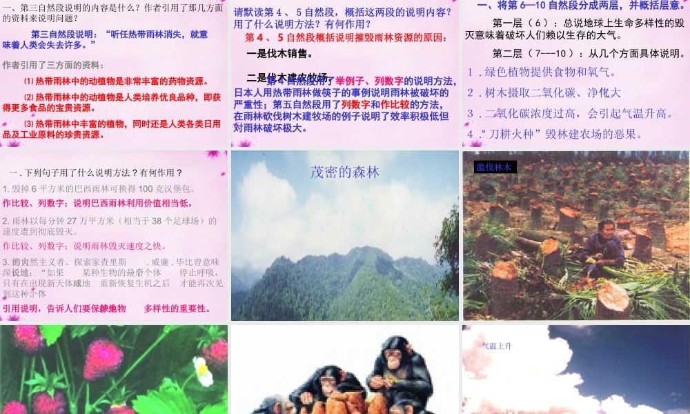 八年级语文上册 18 雨林的毁灭课件 语文版 课件