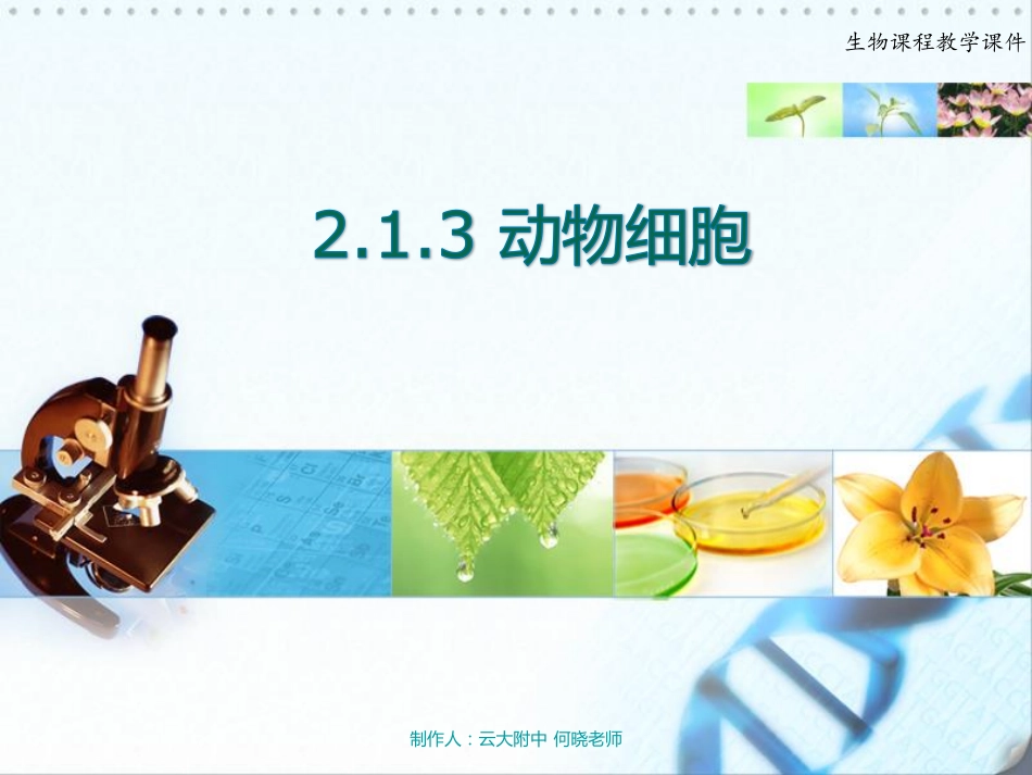 七年级生物上册 动物细胞课件(pdf) 新人教版 课件_第2页