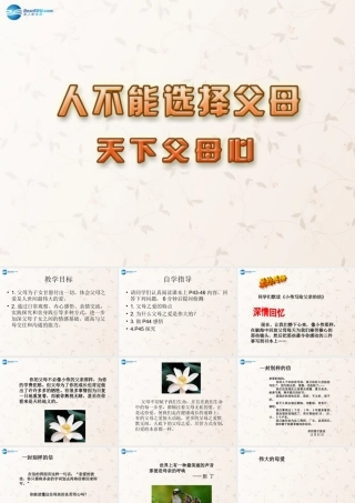八年级政治上册 4.2 天下父母心课件 苏教版 课件