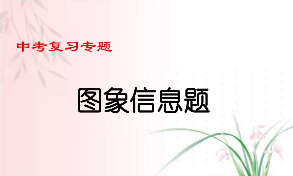 中考数学专题复习图像信息 新课标 试题