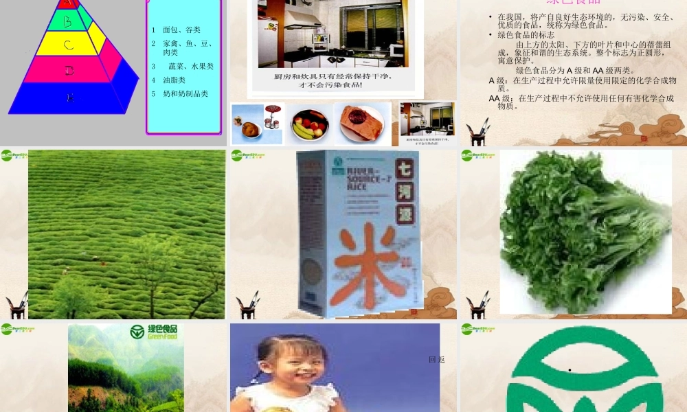 七年级生物下册 第二章第三节关注合理营养与食品安全课件 人教新课标版 课件