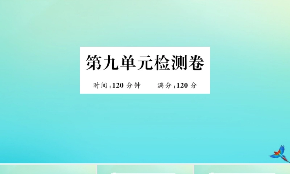 九年级英语全册 Unit 9 I like music that I can dance to检测卷习题课件 (新版)人教新目标版 课件