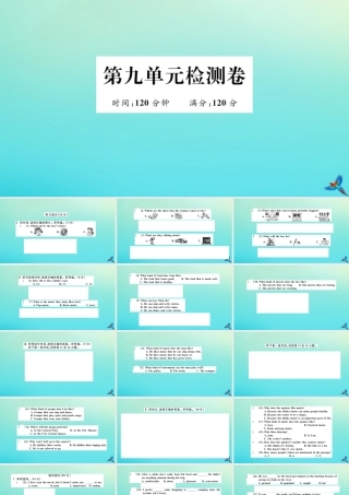 九年级英语全册 Unit 9 I like music that I can dance to检测卷习题课件 (新版)人教新目标版 课件