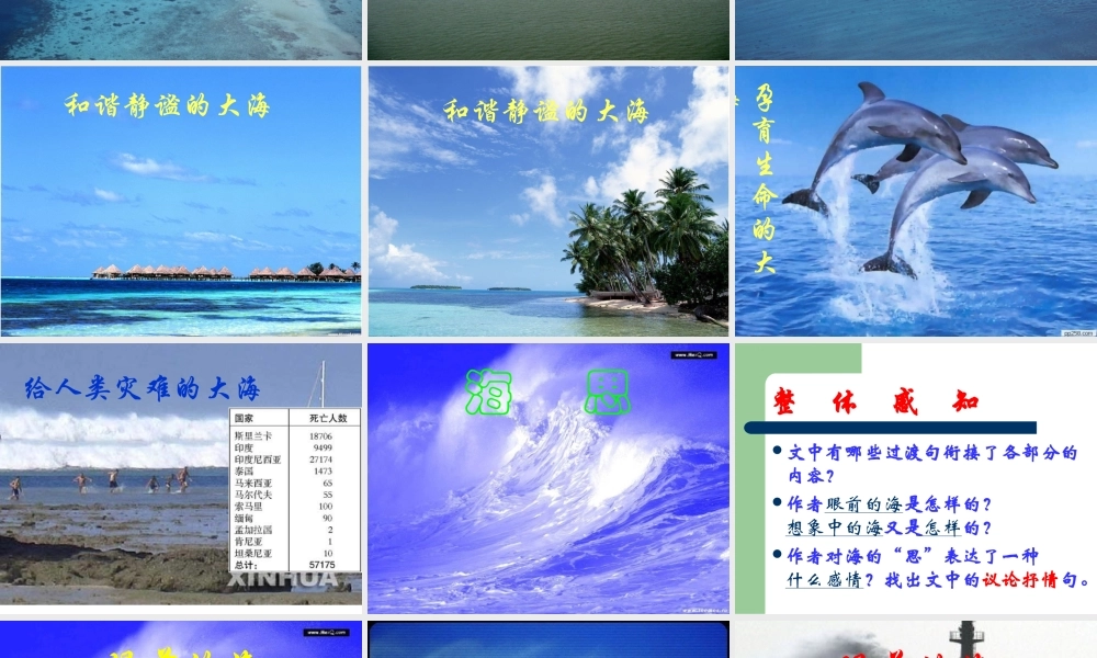 八年级语文上册 第7课(海思)课件 鄂教版 课件