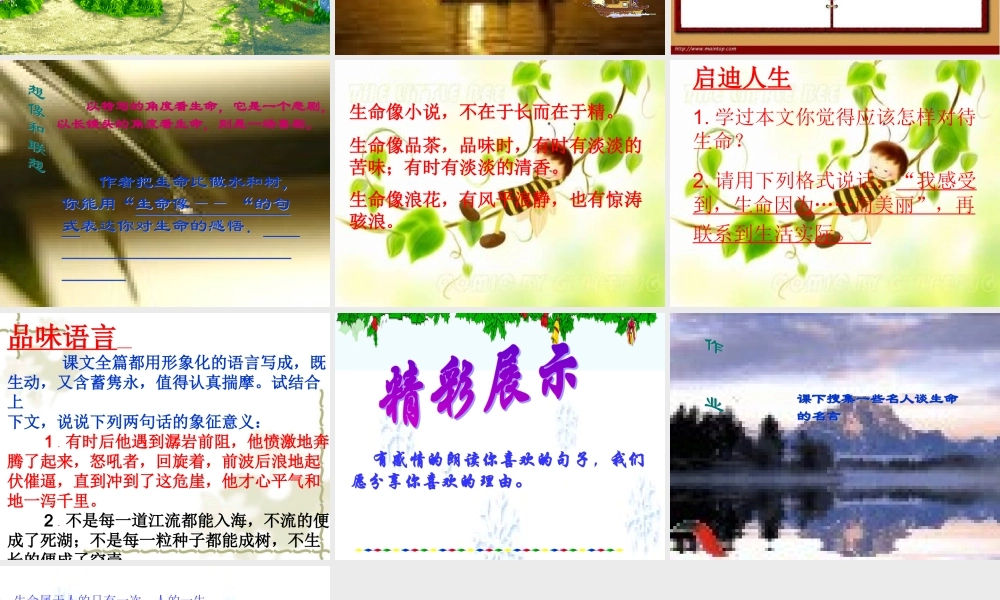 九年级语文上册 26(谈生命)课件 鲁教版 课件