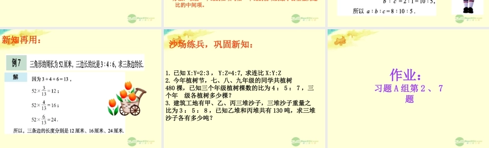 八年级数学上册(3.6比和比例)课件2 青岛版 课件