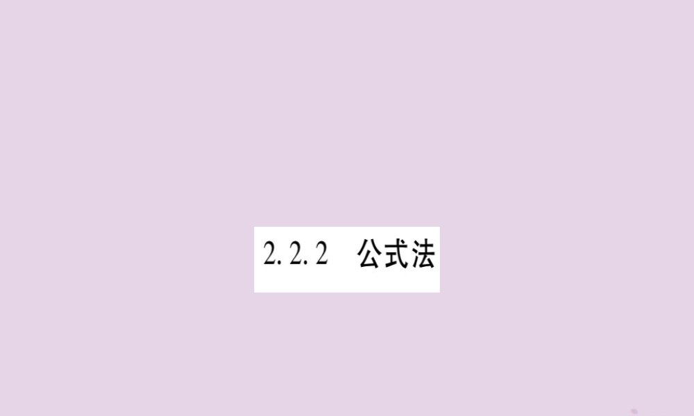 九年级数学上册 第2章 一元二次方程 22 一元二次方程的解法 222 公式法作业课件 (新版)湘教版 课件