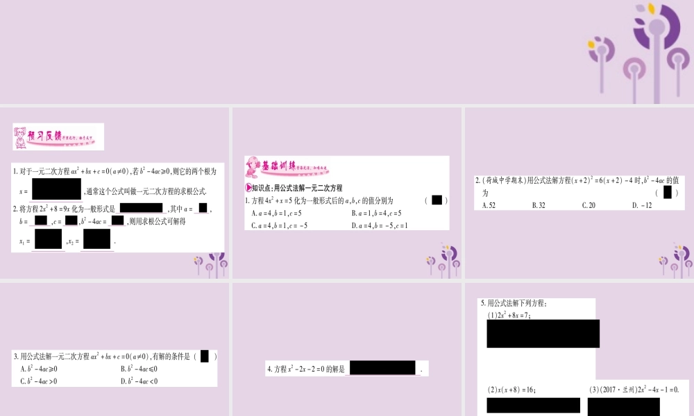 九年级数学上册 第2章 一元二次方程 22 一元二次方程的解法 222 公式法作业课件 (新版)湘教版 课件