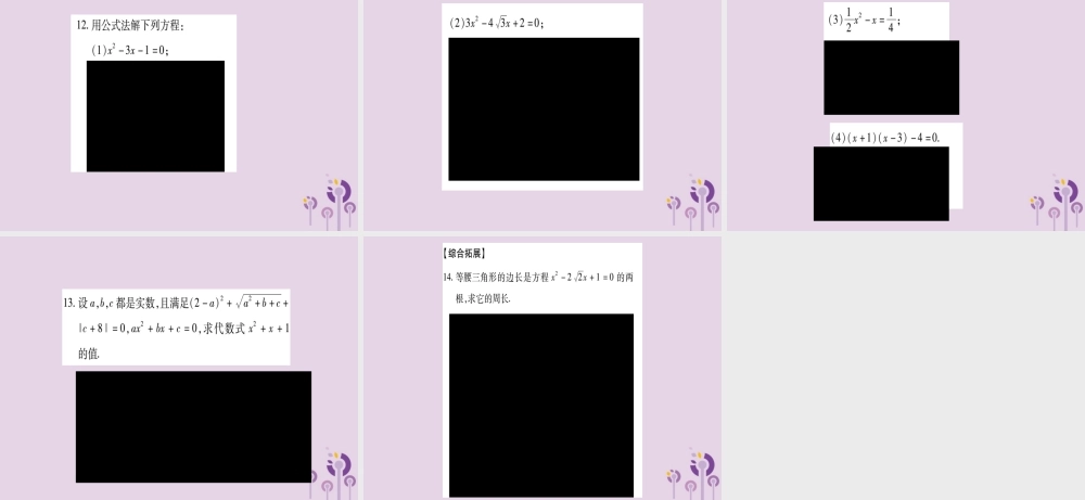 九年级数学上册 第2章 一元二次方程 22 一元二次方程的解法 222 公式法作业课件 (新版)湘教版 课件