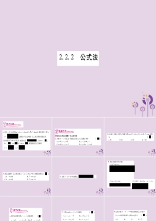 九年级数学上册 第2章 一元二次方程 22 一元二次方程的解法 222 公式法作业课件 (新版)湘教版 课件