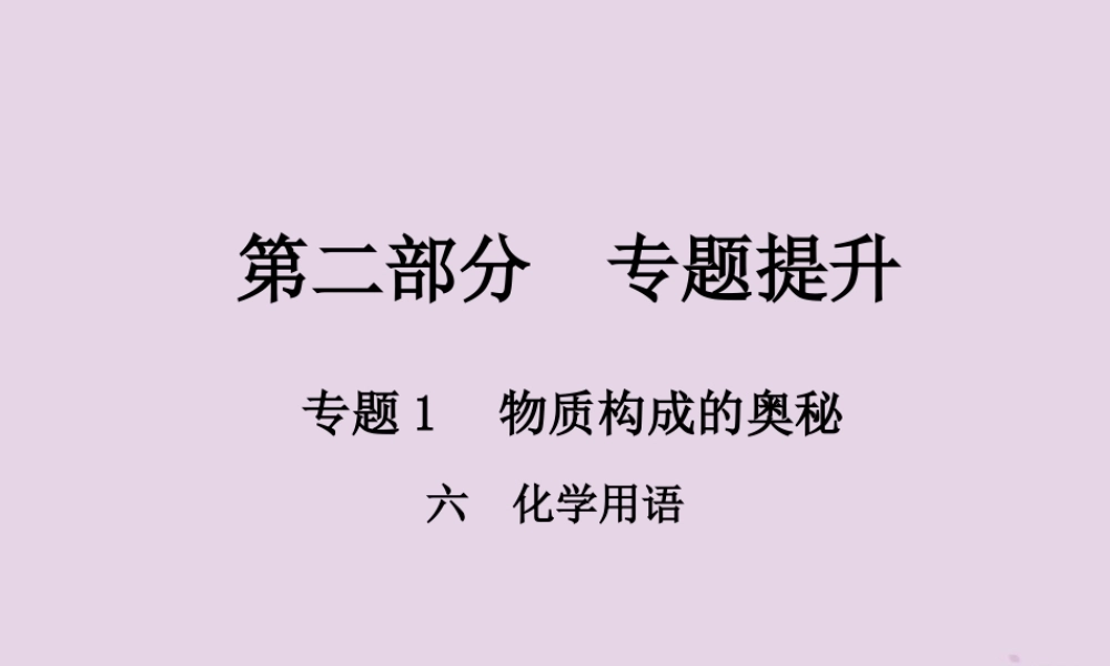 中考化学总复习 第二部分 专题提升 专题1 物质构成的奥秘 六 化学用语课件