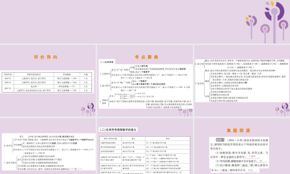 中考化学总复习 第二部分 专题提升 专题1 物质构成的奥秘 六 化学用语课件