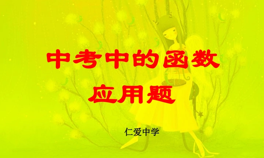 中考数学中的函数应用题 试题