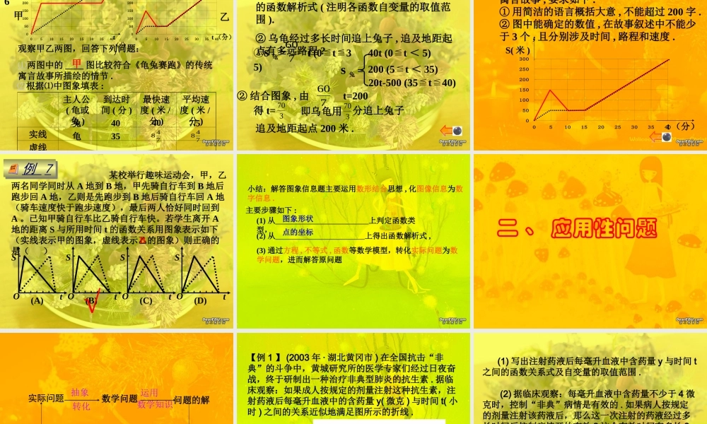 中考数学中的函数应用题 试题