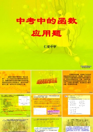 中考数学中的函数应用题 试题