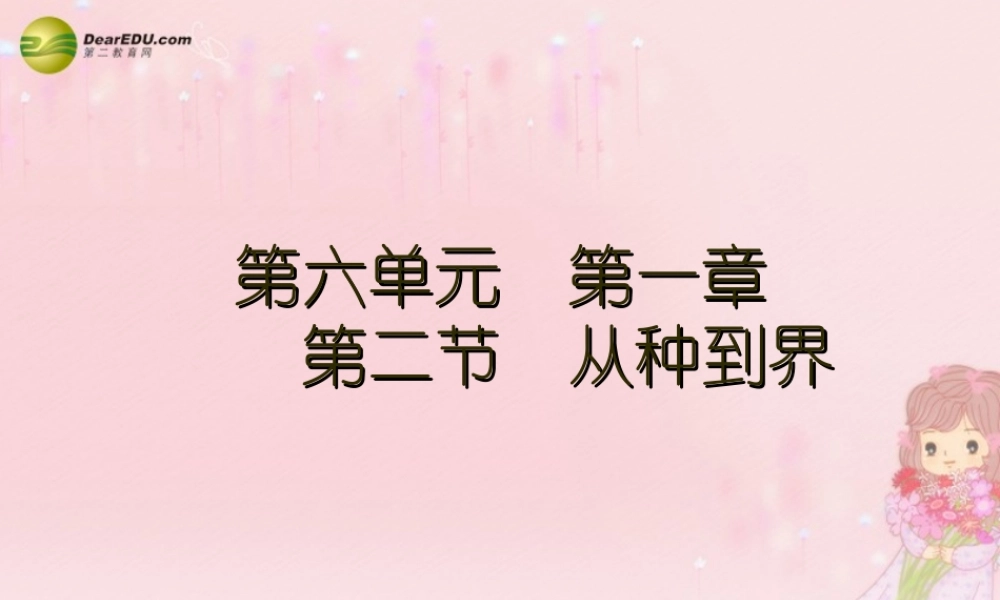 八年级生物上册 第六单元 第一章 第二节 从种到界课件 新人教版 课件