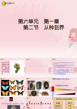 八年级生物上册 第六单元 第一章 第二节 从种到界课件 新人教版 课件