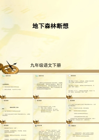 九年级语文下册 第11课地下森林断想2课件 人教新课标版 课件