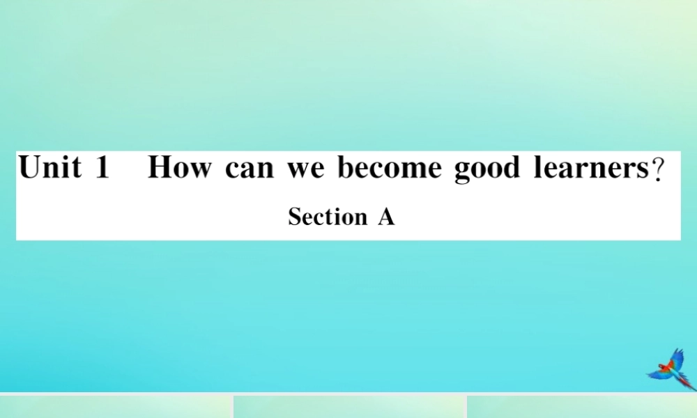 九年级英语全册 Unit 1 How can we become good learners Section A习题课件 (新版)人教新目标版 课件