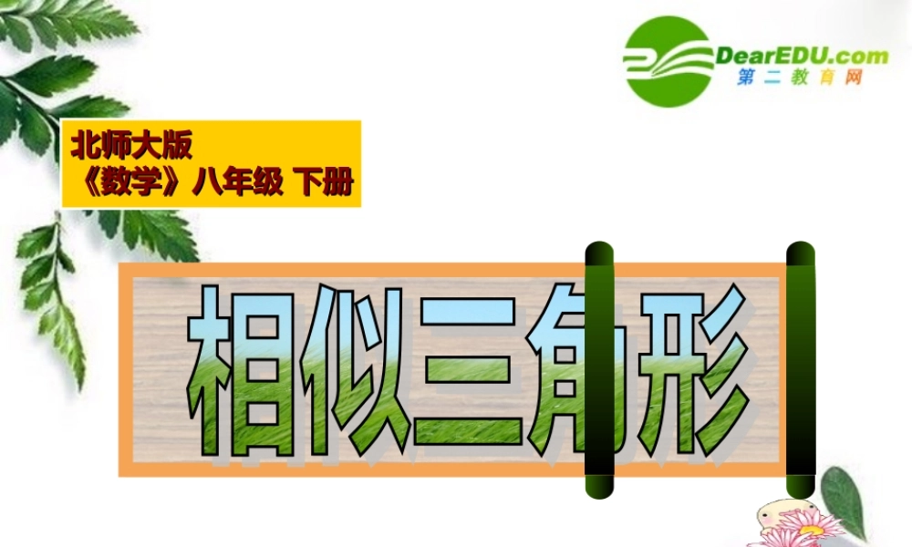 八年级数学第四章第五节相似三角形课件北师大版 课件