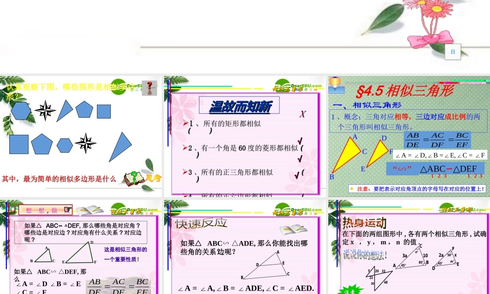 八年级数学第四章第五节相似三角形课件北师大版 课件