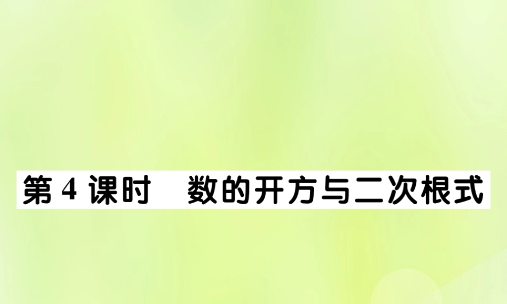 中考数学总复习 第一部分 考点梳理 第一章 数与式 第4课时 数的开方与二次根式课件